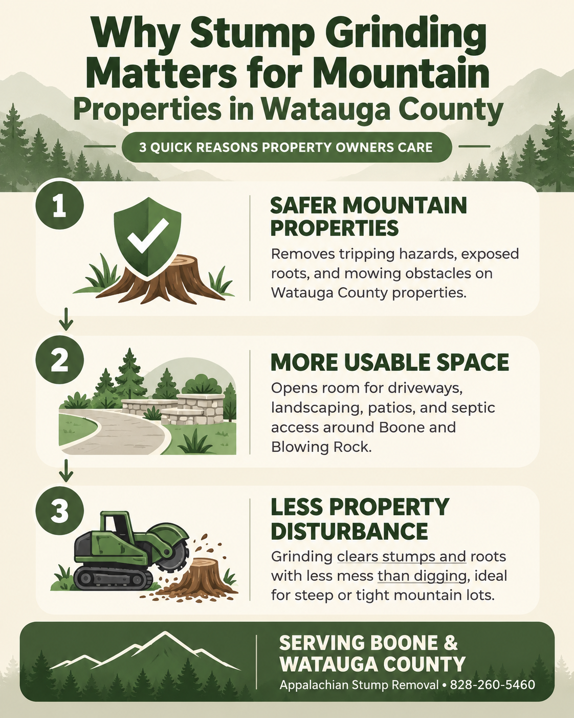 Why Stump Grinding Matters for Mountain Properties in Watauga County infographic | Appalachian Stump Removal in Boone, NC